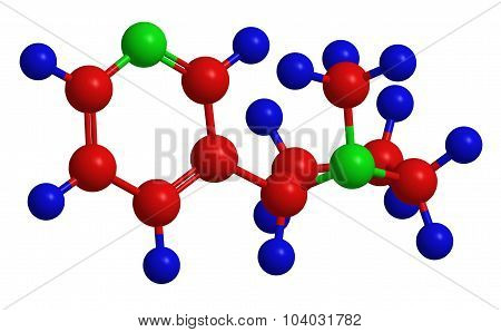 Molecular Structure Of Nicotine