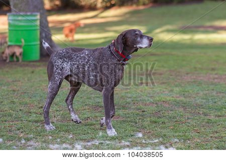 Standing at attention