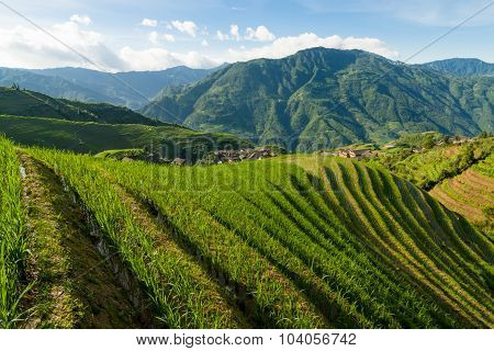Longsheng rice terraces guilin china landscape