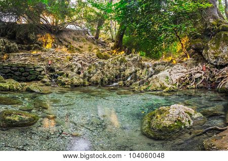Seven Springs Rhodes