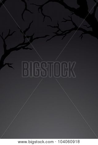 Background With Silhouette Of Branches