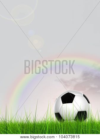 Concept or conceptual 3D soccer ball in fresh green summer or spring field grass with a blue sky rainbowbackground