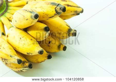 Bunch Of Yellow Small Banana Fruit
