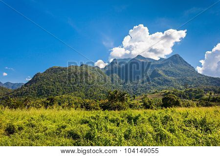 Doi Luang Chiang Dao