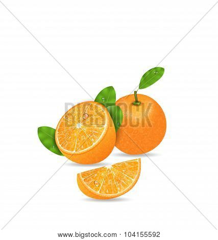 Set Orange Fruits, Cut and Slices