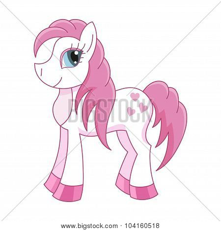 Romantic pony with a magnificent mane and tail