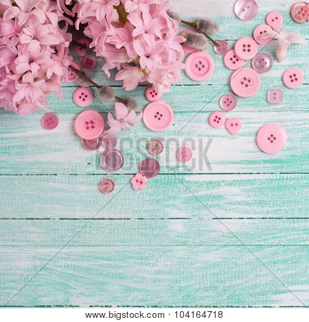 Postcard With Hyacinths And Willow Flowers And Pink Buttons  On Turquoise Painted Wooden Background.