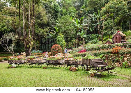 Mae Fah Luang Garden