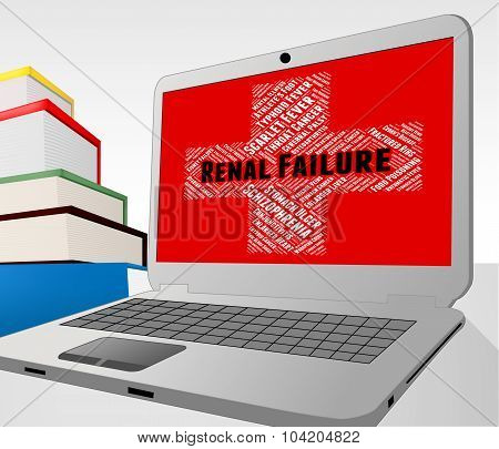 Renal Failure Means Chronic Kidney Disease And Complaint
