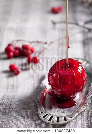 Halloween black and red caramelized apples