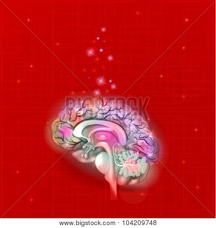 Human Brain Abstract Light Blue Background