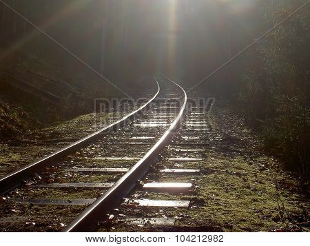 Track into darkness