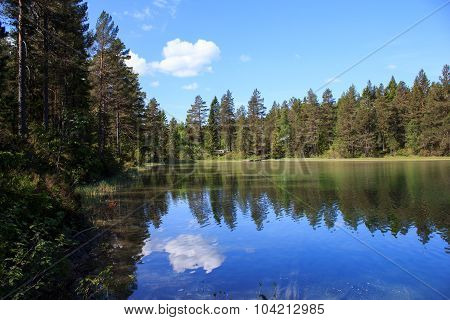 Blue and clean water