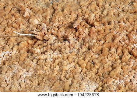 Crystals Of Salt In The Saline