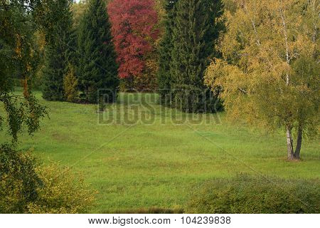Autumn colors