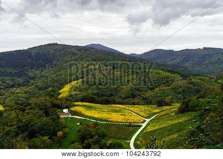 Beautiful Colorized Autumn Hills In Alsace