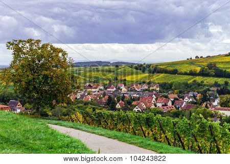 Beautiful Colorized Autumn Hills In Alsace