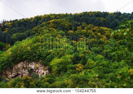 Beautiful Colorized Autumn Hills In Alsace
