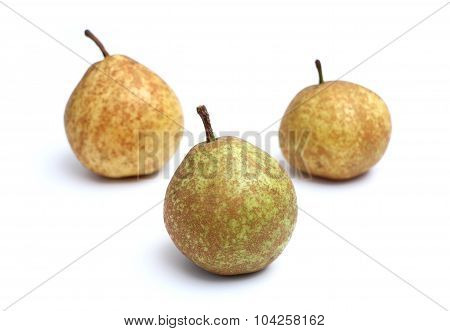 Pears