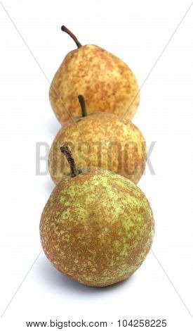 Pears