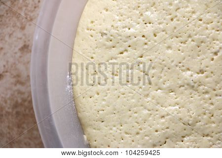 Yeast Dough Rising .