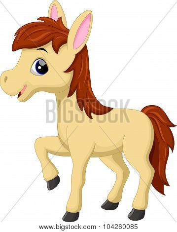 Cute horse cartoon