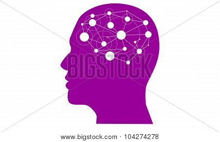 Brain Sciences