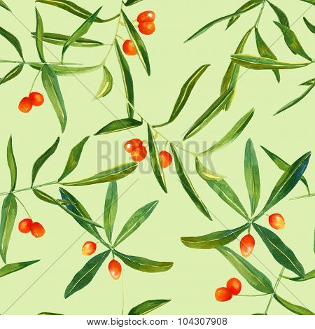 Watercolour sandthorn berries and leaves seamless background pattern