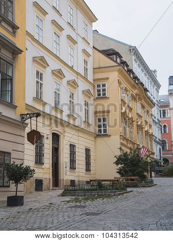 Buildings And Cobbled Streets In Vienna