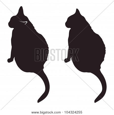 Black cat silhouettes vector illustration