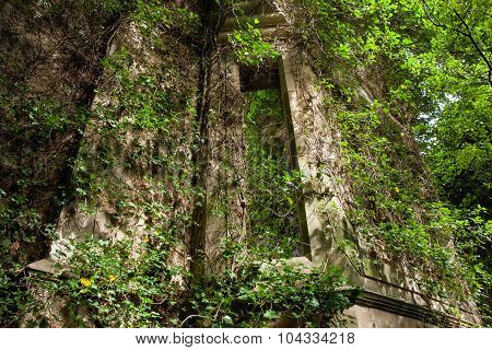 Seacliff House Hidden In The Woods Where Nature Is Slowly Reclaiming. ..building Built In 1841 And E