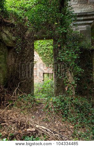 Seacliff House Hidden In The Woods Where Nature Is Slowly Reclaiming. ..building Built In 1841 And E