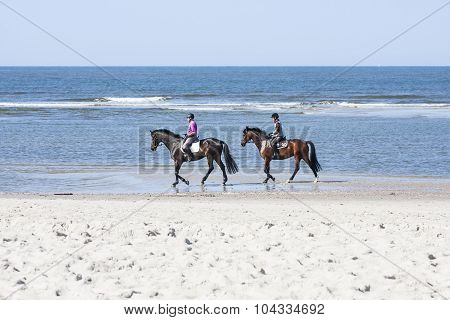 Horse Riding On The Beach, Editorial
