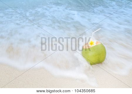 Tropical Coconut Refreshment