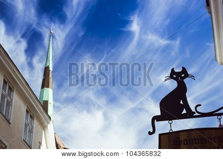 profile of a cat, Tallinn, Estonia