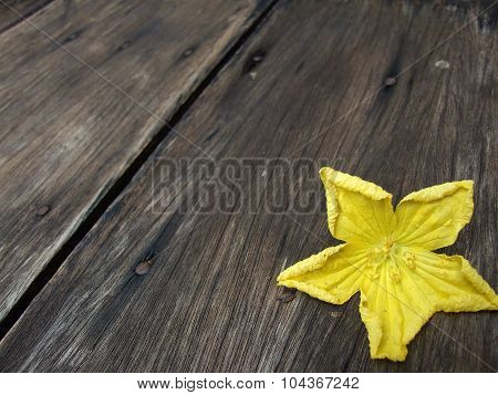 Flowers frame on wooden background