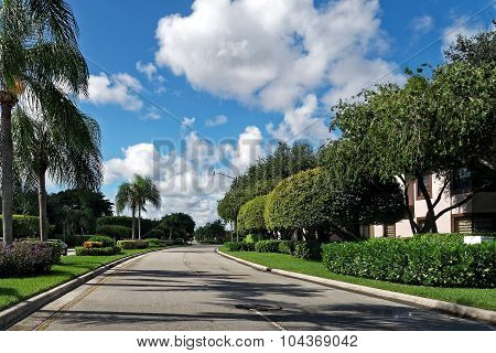 Empty Residential Street Florida Neighborhood