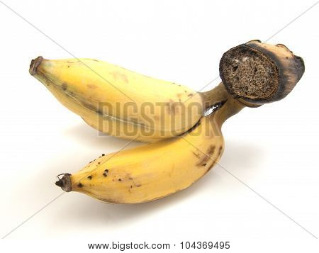 Banana Bunch On White Background