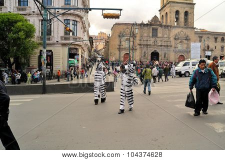 La Paz Bolivia - 2012: Workers dressed as Zebras teach citizens the right way to cross the street using a Zebra styled crosswalk. La Paz had a bad track record for traffic accidents in the past.
