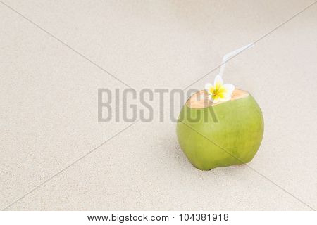 Tropical Coconut Refreshment