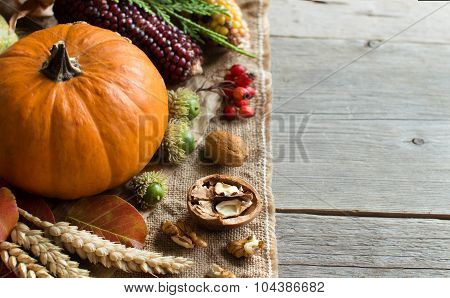 Autumn Background With Pumpkin