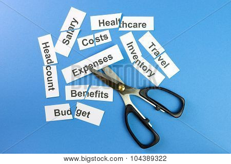 Cost Control