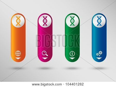 Dna Icon On Vertical Infographic Design Template, Can Be Used For Workflow Layout, Web Design.