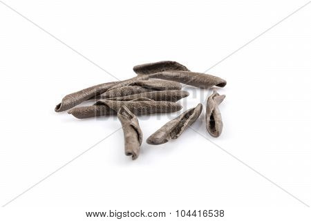 Seppia Pasta Fusilli