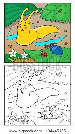 Coloring Page. Cartoon Illustration Of Snail.