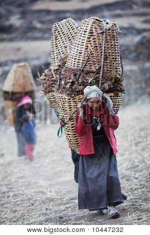 Kobiet w krajowych ubrania