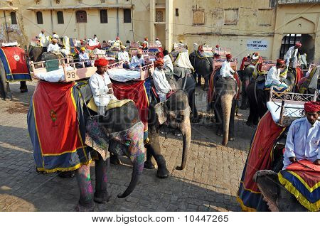 Elefant-Fahrer In der Amber Fort, Indien