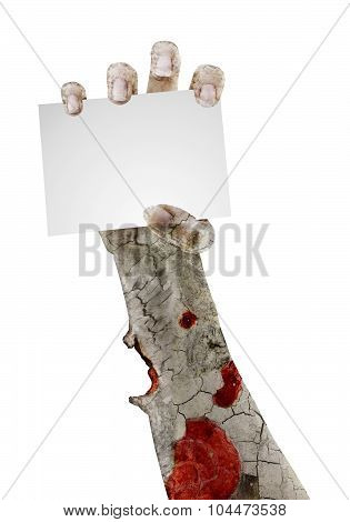 Scary Zombie Hand Isolated On White With Space For Text