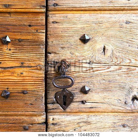 Jerago Abstracn Wood Italy  Lombardy