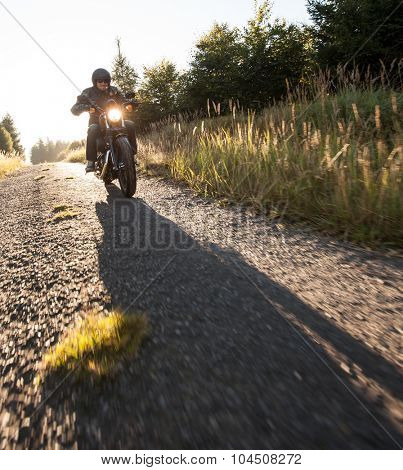 ROUSINOV - SEPTEMBER 29: Harley-Davidson Motorcycle Sportster Iron 883, drives through the forests during sunrise. September 29, 2015 in Rousinov, Czech republic.